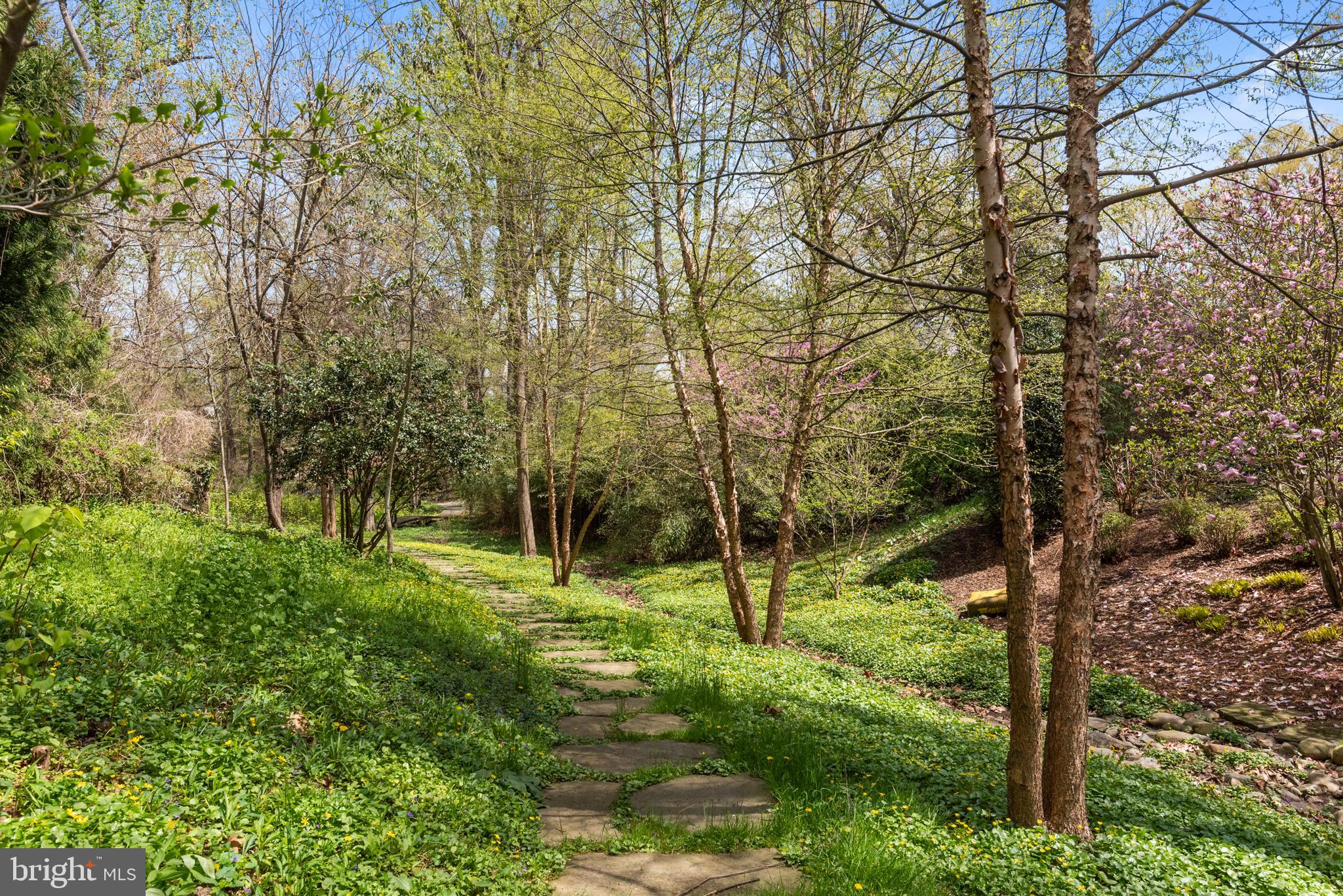 WARDOUR - Residential