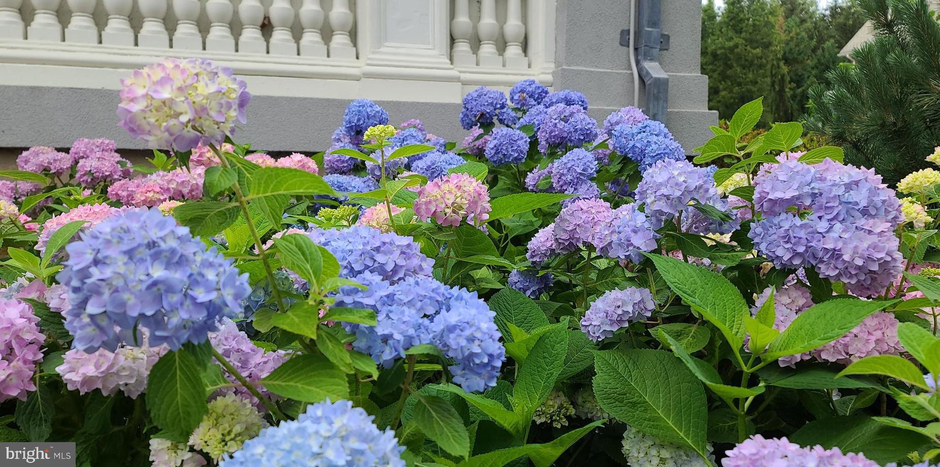 GUILFORD - Residential