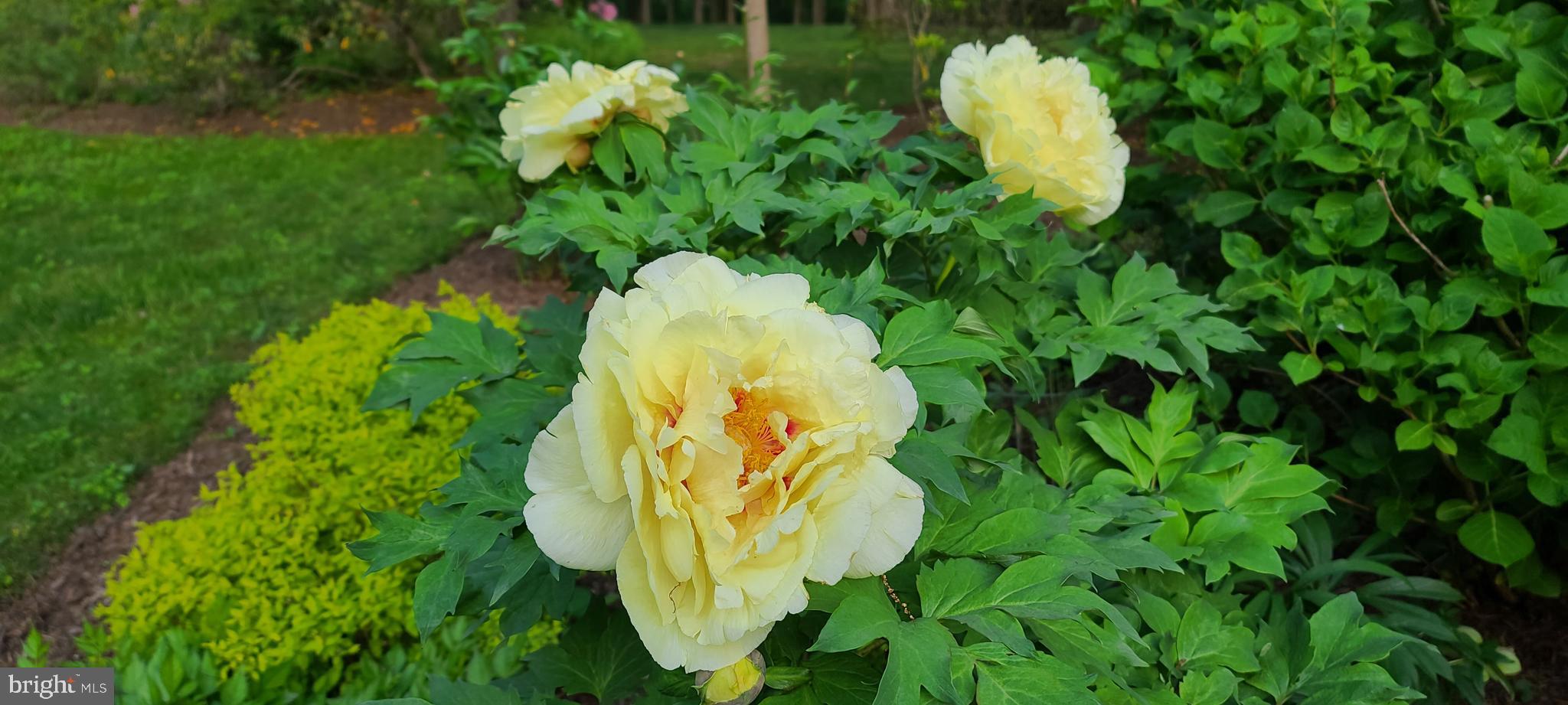 GUILFORD - Residential