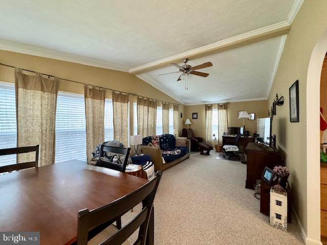 CECIL WOODS - Residential