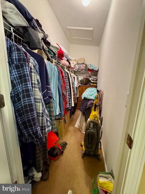 CECIL WOODS - Residential