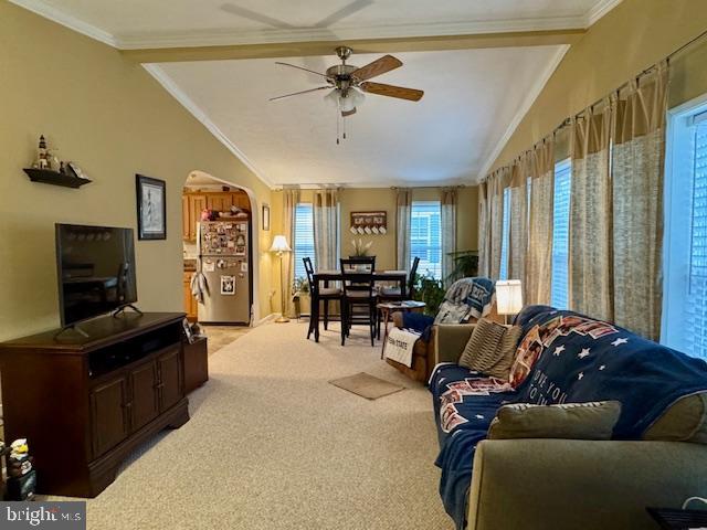 CECIL WOODS - Residential