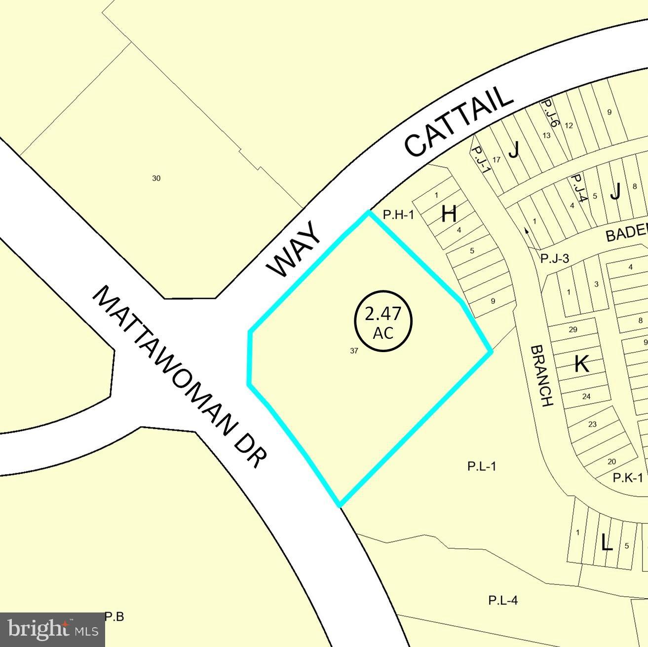 13900 MATTAWOMAN DRIVE