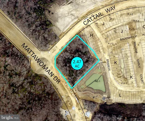 MLS: MDPG2186620
