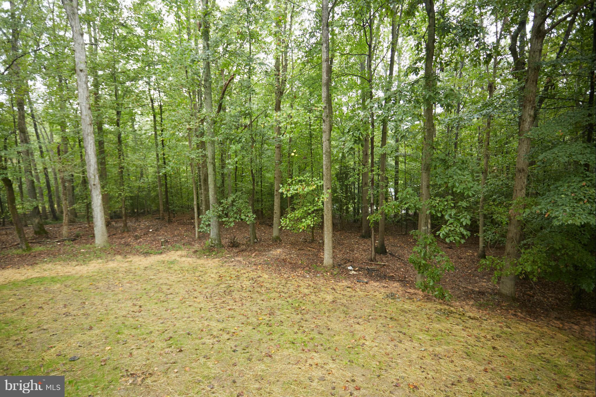 SHADOWALK - Residential