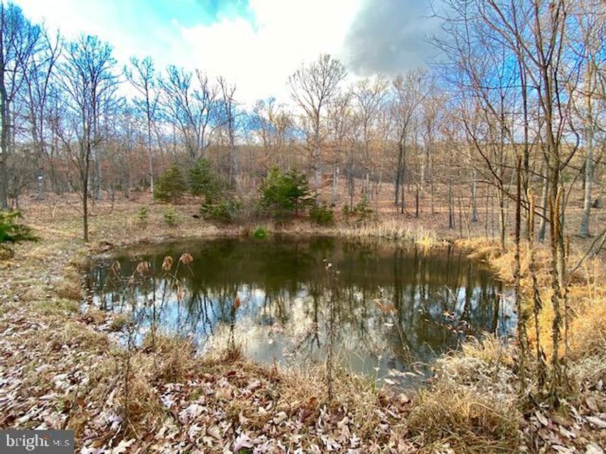 Beautiful 31 Acre parcel located in the panoramic subdivision of Hidden Hollows.  This property features approximately 800 feet of installed underground electric to a cleared build.  The property also features a beautiful secluded stocked pond.  The remaining property features moderately sloped large oak timber for good hunting and beautiful views.  This is beautiful parcel to build you dream home or second home getaway.  Call Today!!