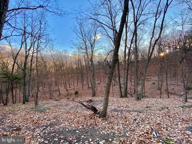 HIDDEN HOLLOWS - Land