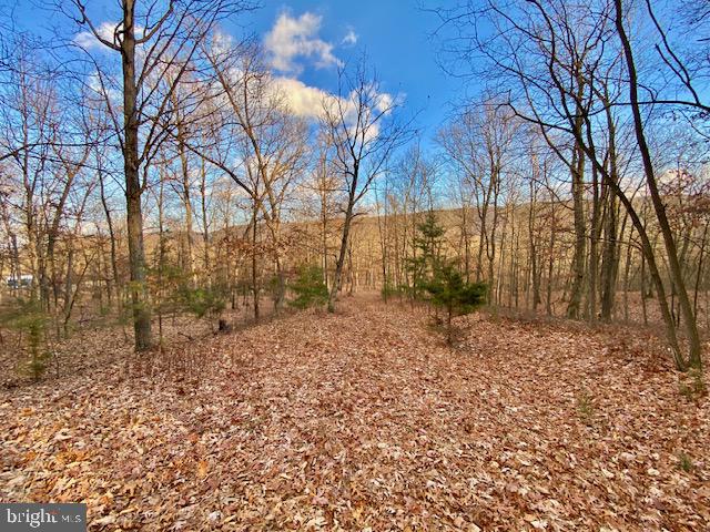 HIDDEN HOLLOWS - Land