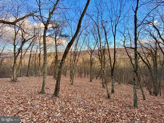 HIDDEN HOLLOWS - Land