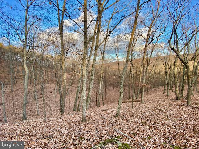 HIDDEN HOLLOWS - Land