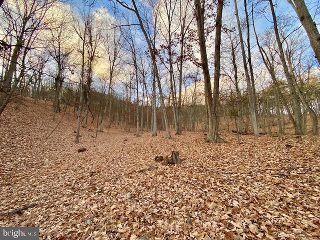 HIDDEN HOLLOWS - Land