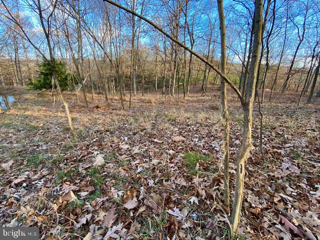 HIDDEN HOLLOWS - Land