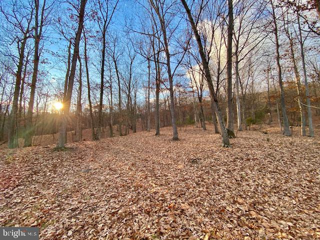 HIDDEN HOLLOWS - Land