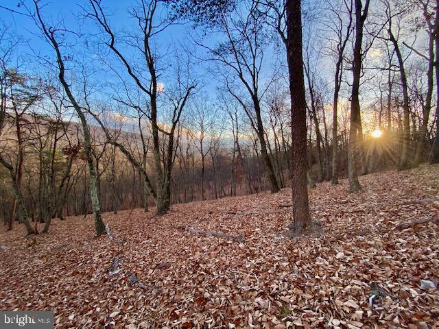 HIDDEN HOLLOWS - Land