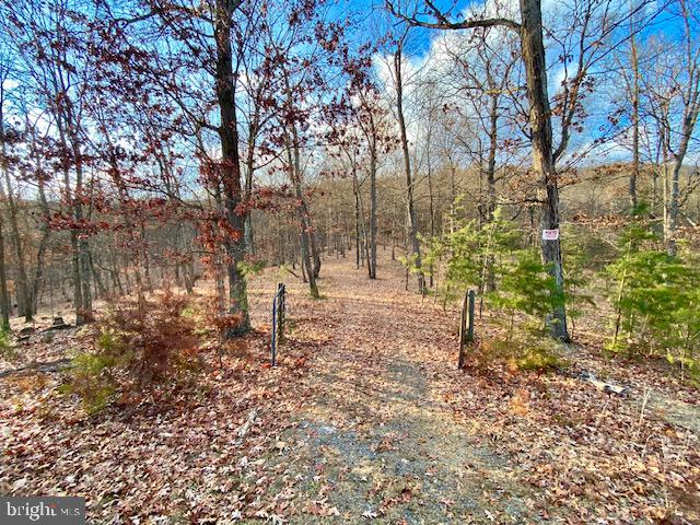 HIDDEN HOLLOWS - Land