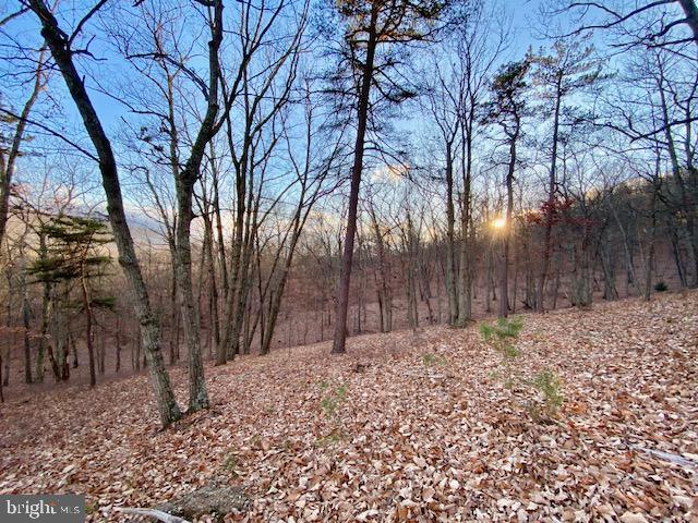 HIDDEN HOLLOWS - Land