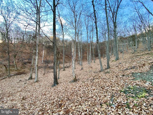 HIDDEN HOLLOWS - Land