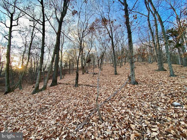 HIDDEN HOLLOWS - Land