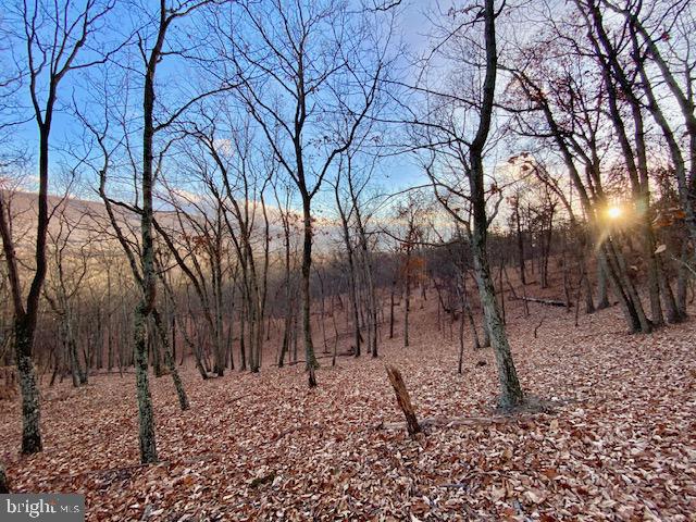 HIDDEN HOLLOWS - Land