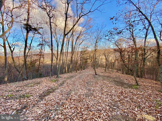 HIDDEN HOLLOWS - Land