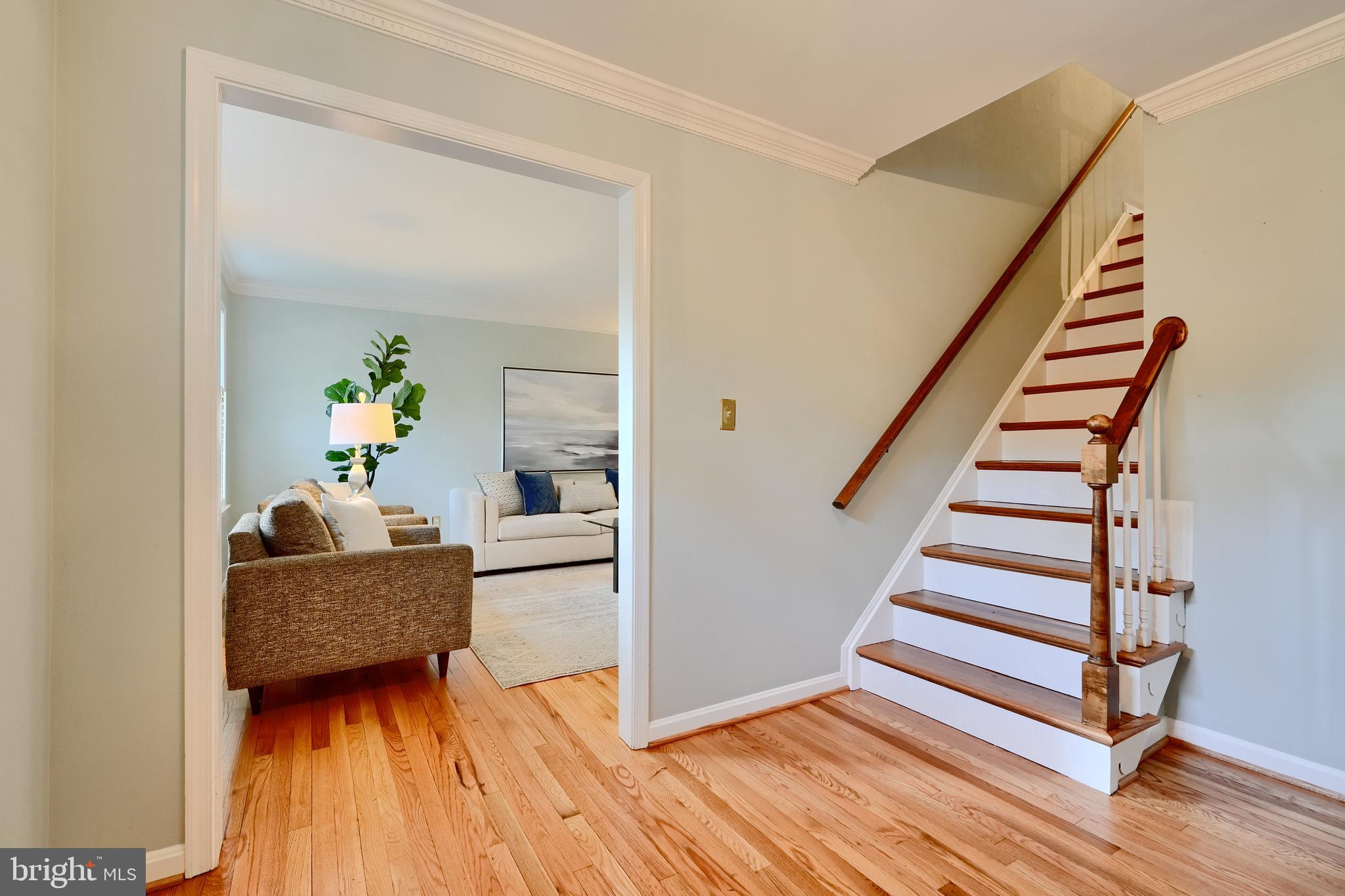 238 OAK COURT