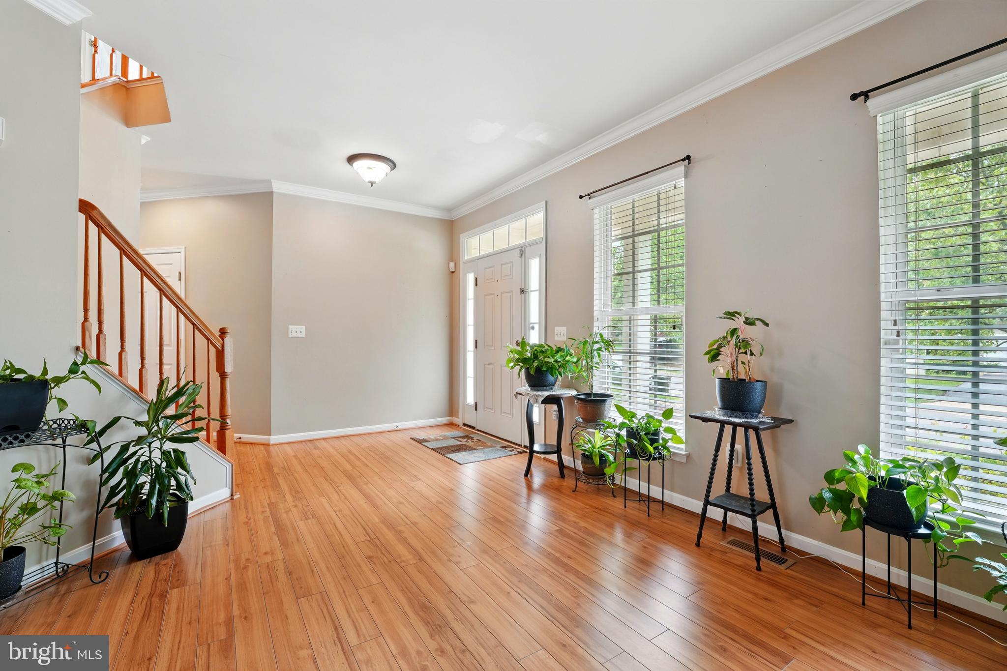 230 WHITWORTH DRIVE