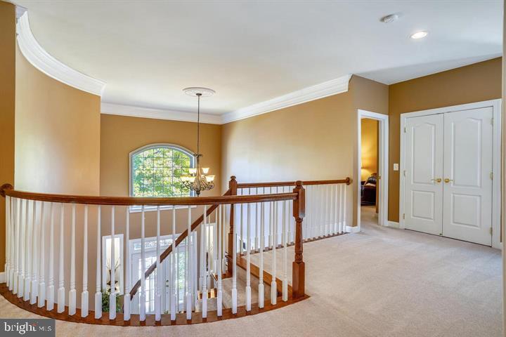 MALVERN CHASE - Residential