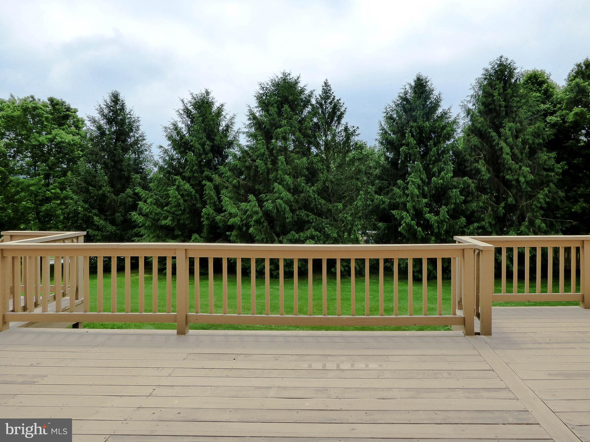 CHESTNUT RUN - Residential
