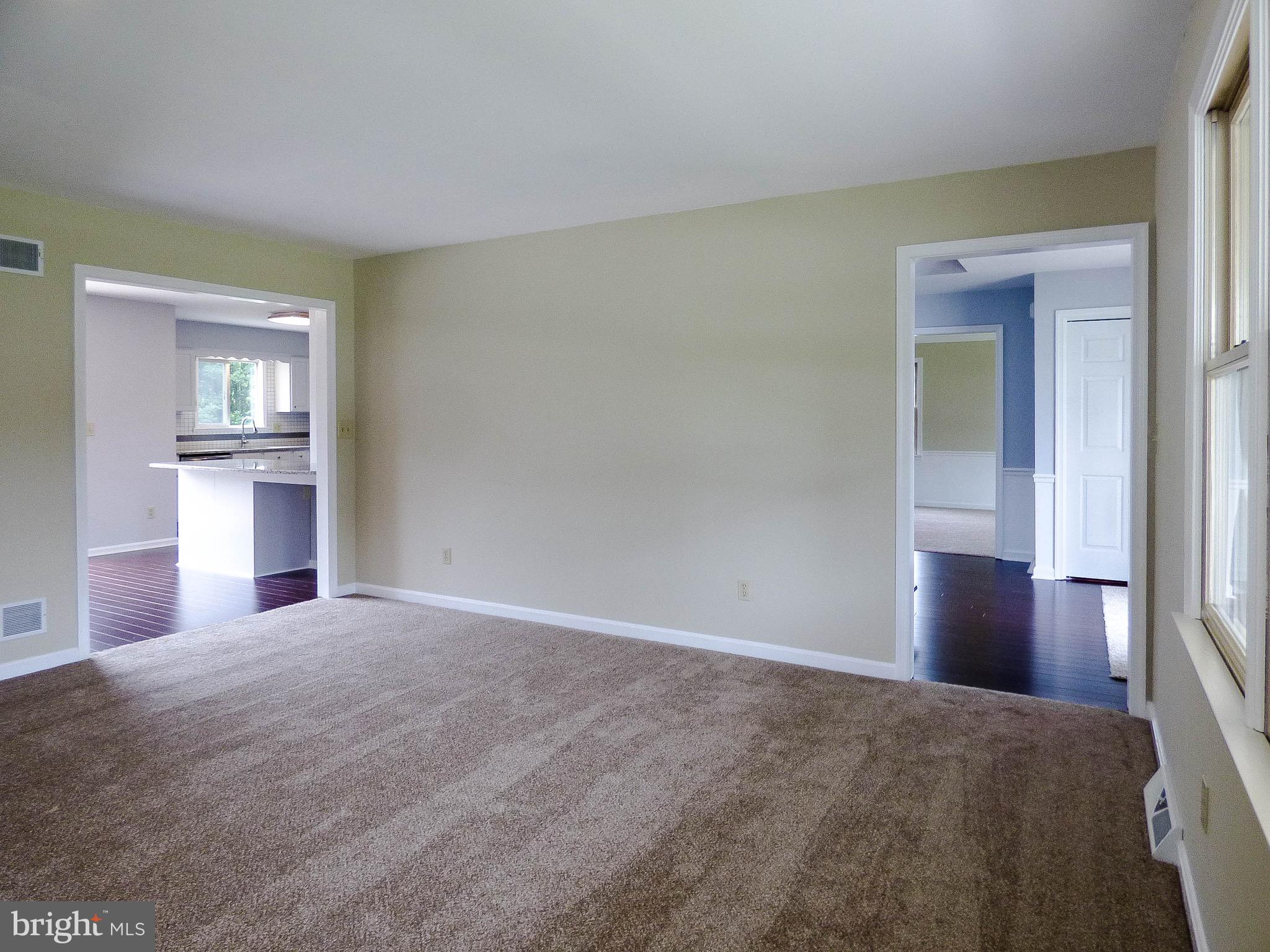 CHESTNUT RUN - Residential