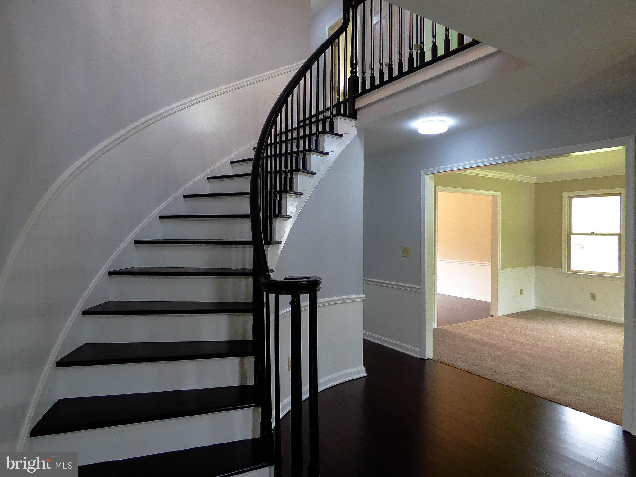 CHESTNUT RUN - Residential