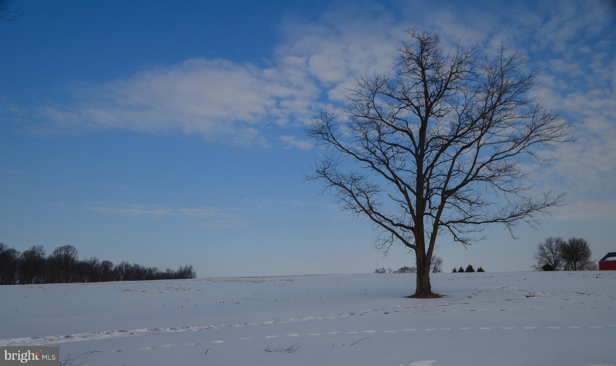 ROYAL MANOR ESTATES - Residential