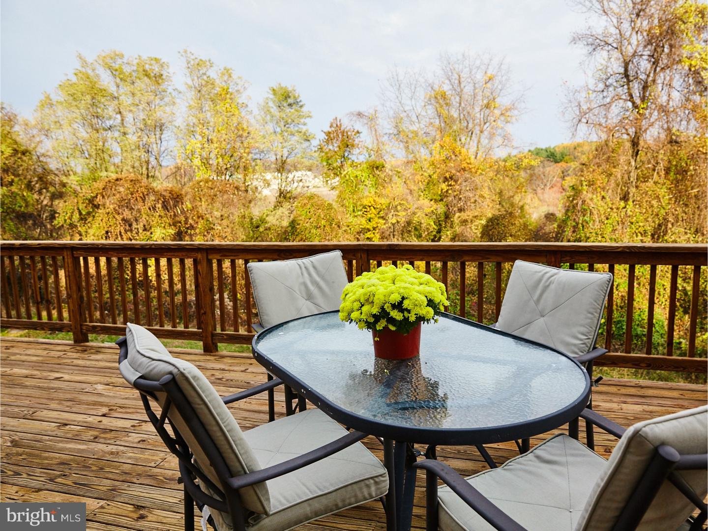 ROSE TREE ESTS - Residential