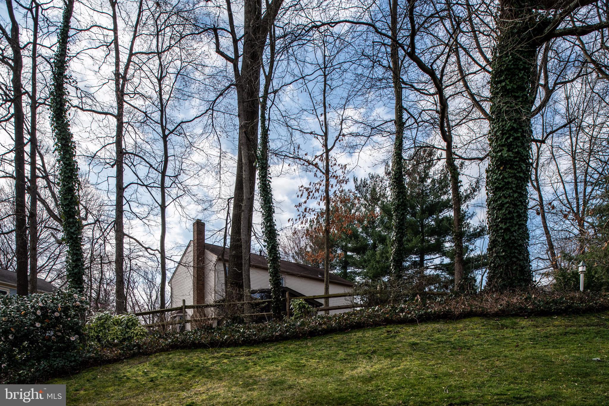 BURKE CENTRE CONSERVANCY - Residential