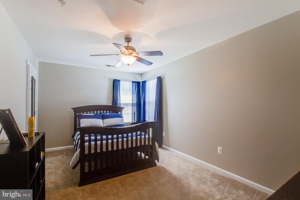 CHELTENHAM PARK - Residential