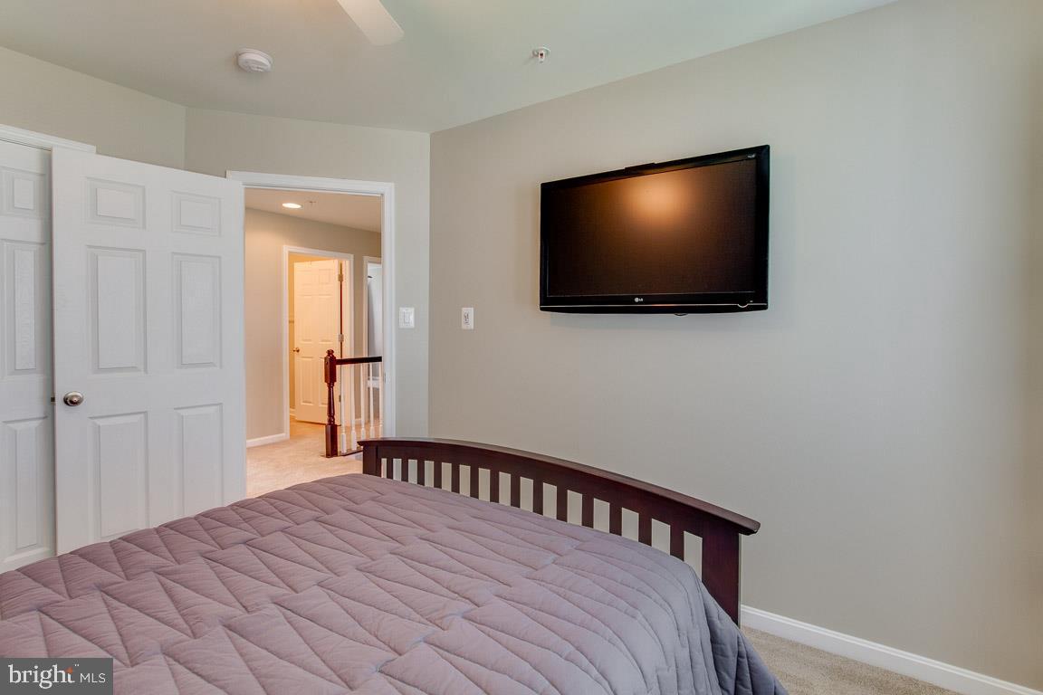 CHELTENHAM PARK - Residential