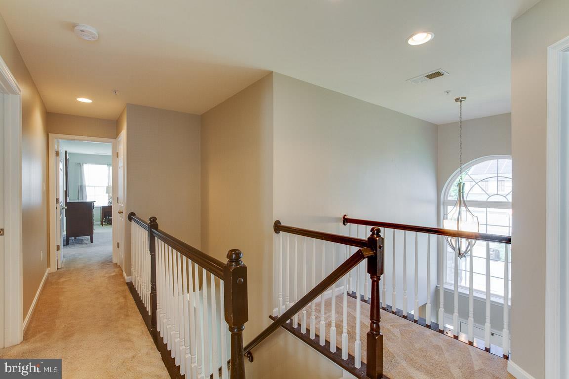 CHELTENHAM PARK - Residential