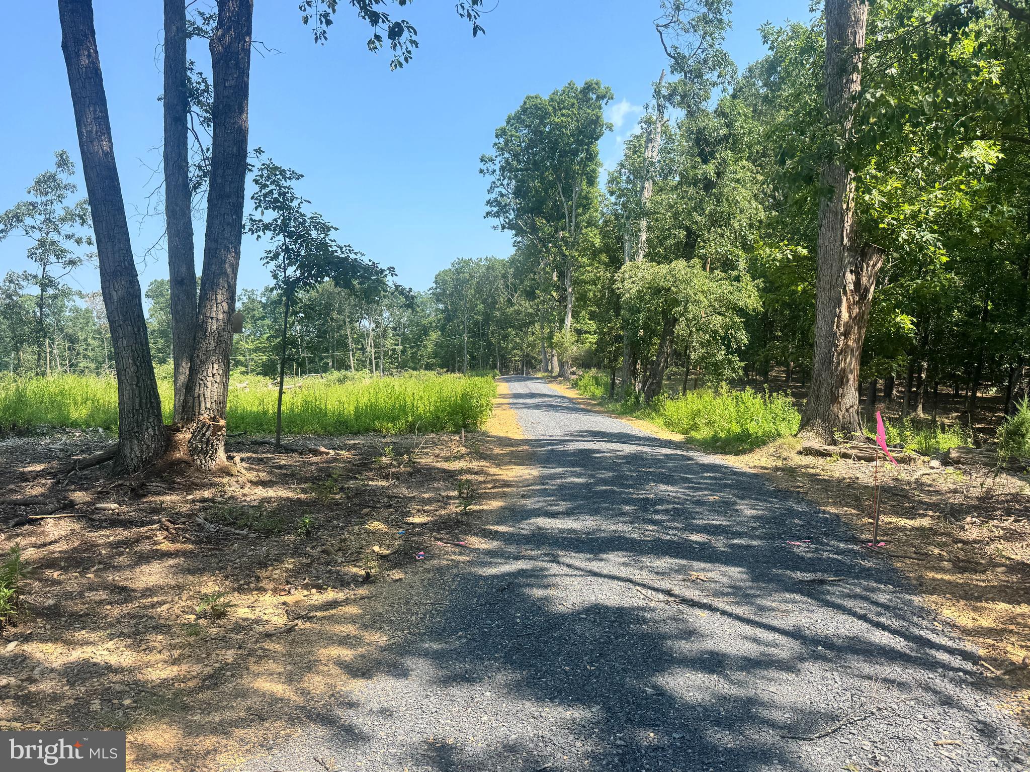 Lot 38C SWEETBRIAR LANE