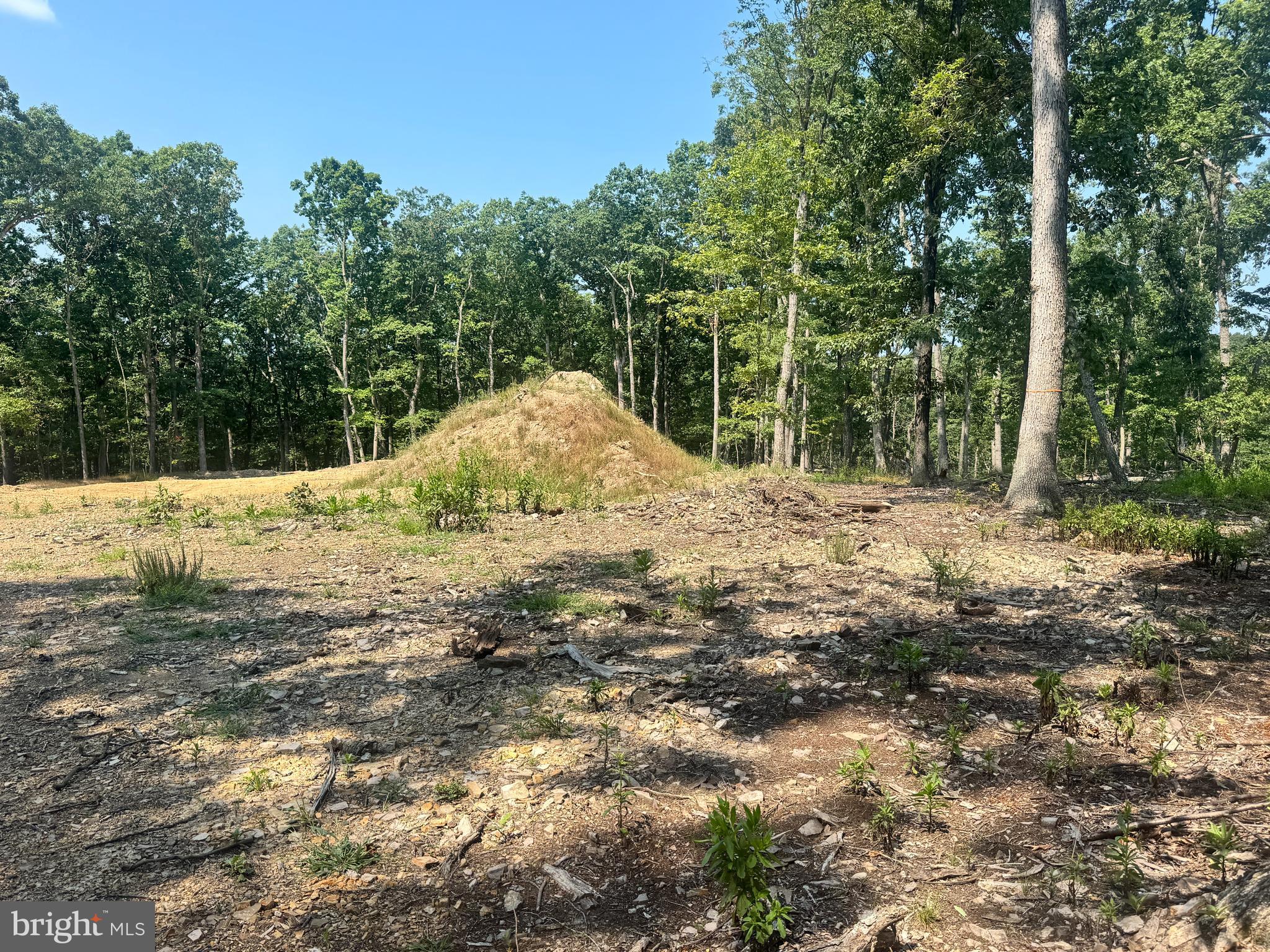 Lot 38C SWEETBRIAR LANE