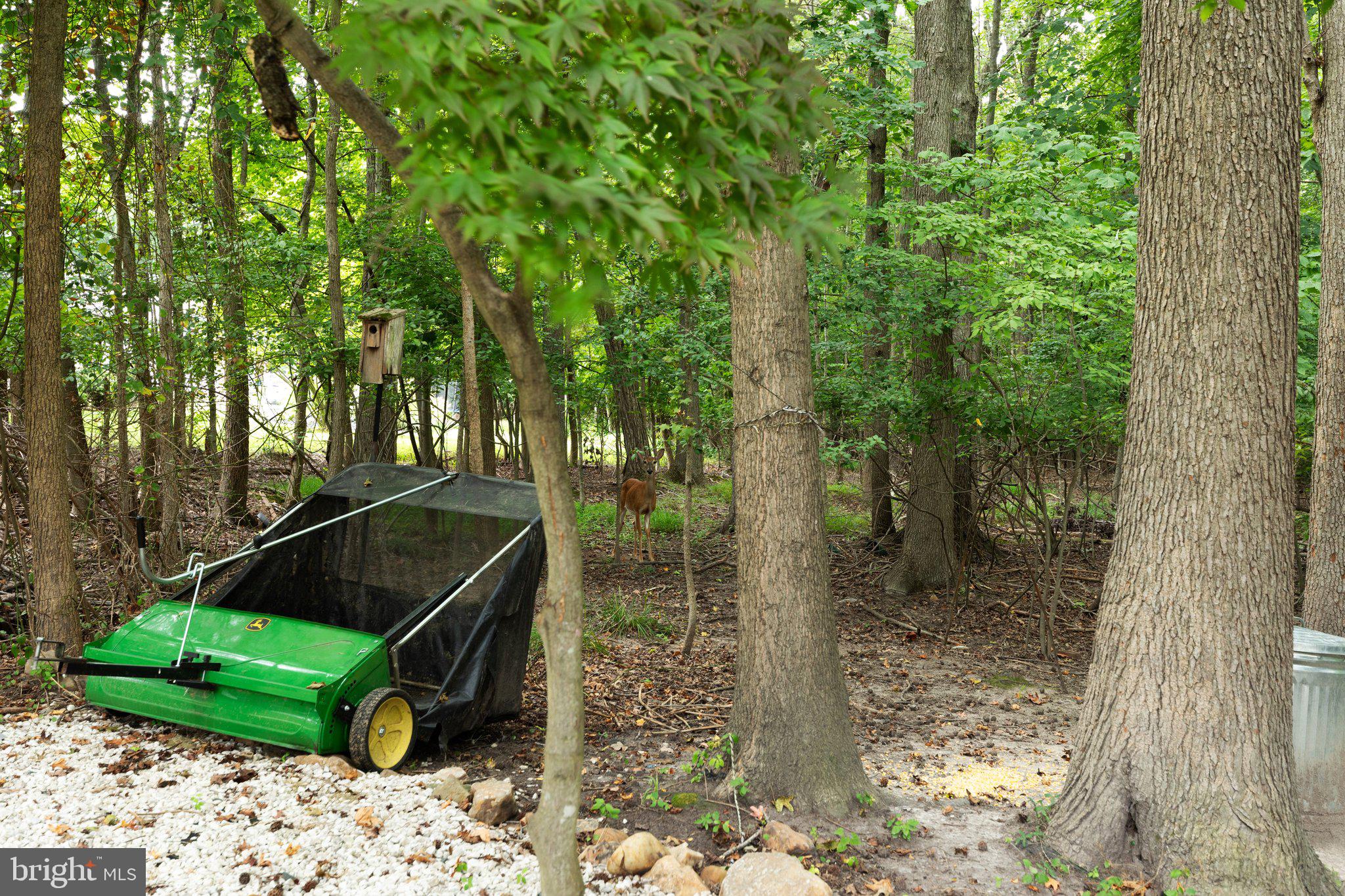 VILLAGE OF BYNUM RUN - Residential