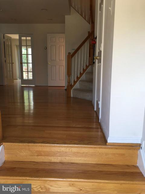 WEXFORD - Residential Lease