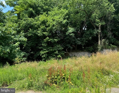 Photo for 331 S 3RD STREET