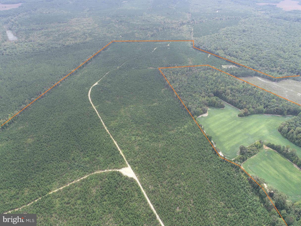 BETHLEHEM ROAD (RT. 636) (TRACT: BETHLEHEM-1)