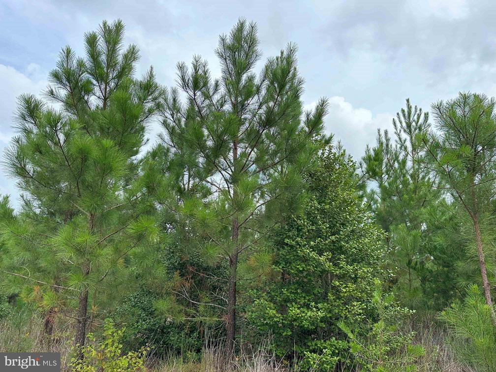 BETHLEHEM ROAD (RT. 636) (TRACT: BETHLEHEM-1)