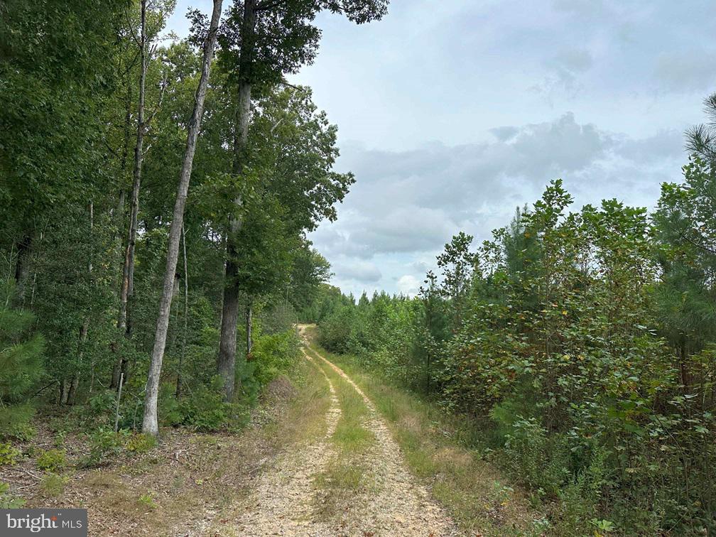 BETHLEHEM ROAD (RT. 636) (TRACT: BETHLEHEM-1)