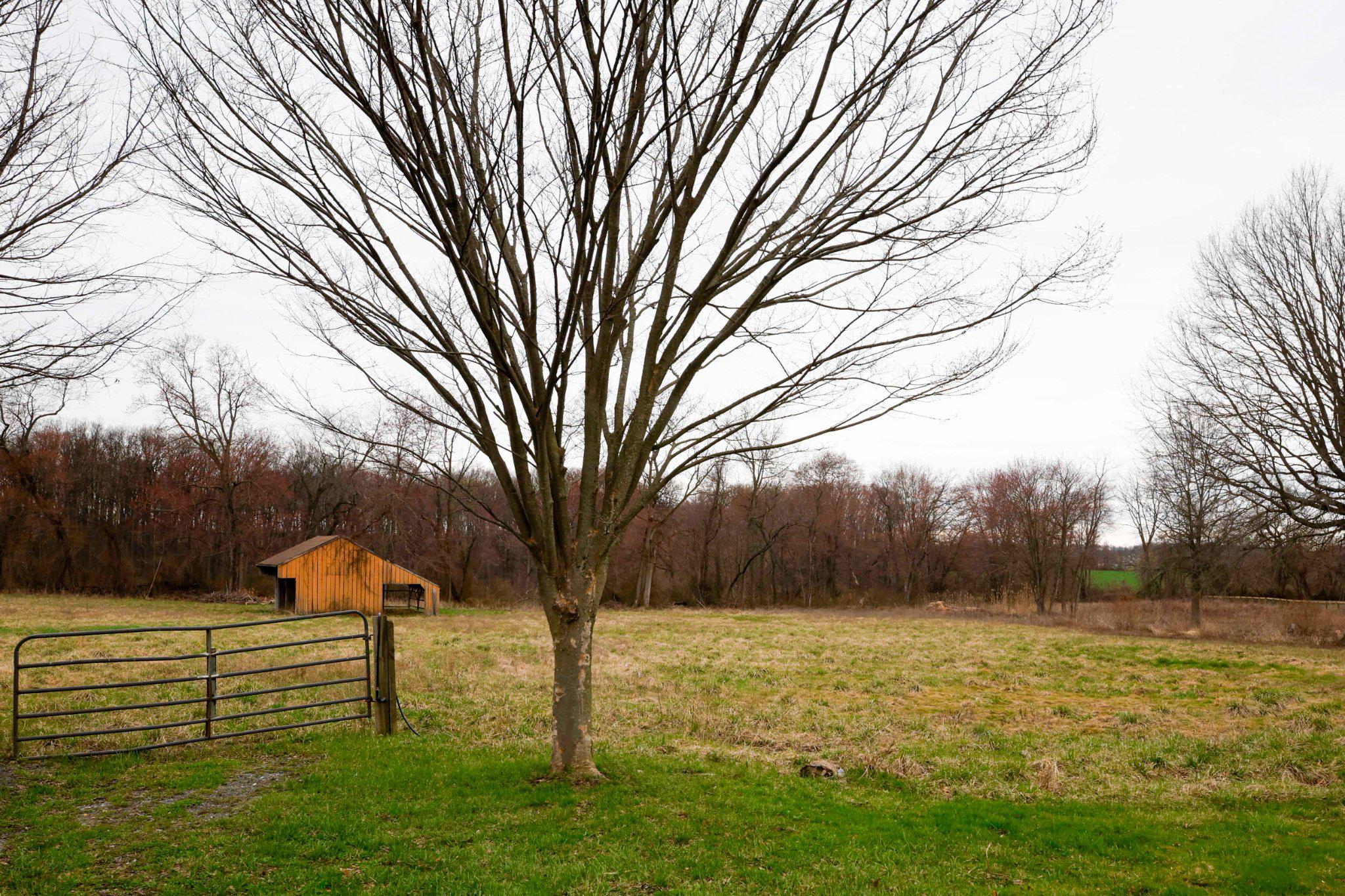 LONDONDERRY TWP - Residential