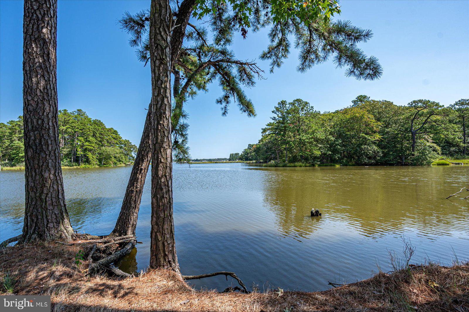 RIVER RUN - Residential