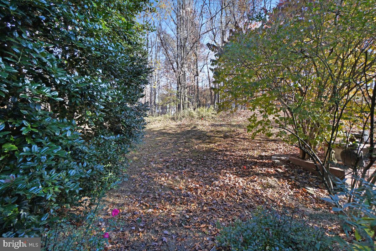 WOODLAND HILLS - Residential