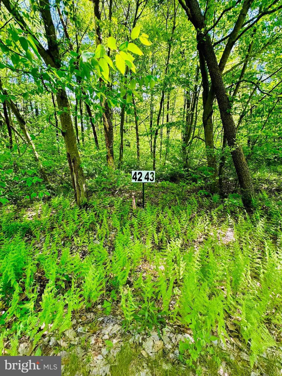 Lot: 42 PARADISE POINT