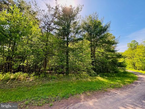 Vacant Land For Sale - LOT: 42 Paradise Point<br/> JAMES CREEK, PA 16657