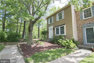 11556 IVY BUSH COURT